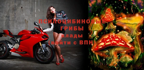 дмт Алексеевка