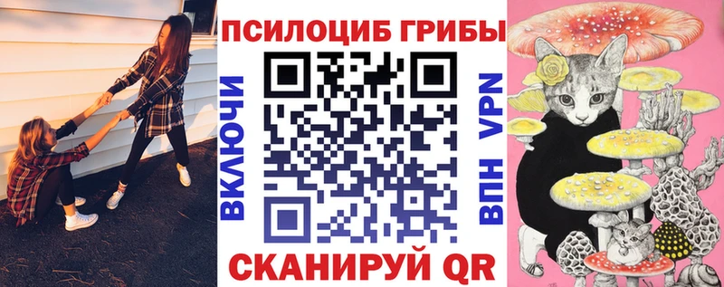 Псилоцибиновые грибы GOLDEN TEACHER  Анжеро-Судженск 
